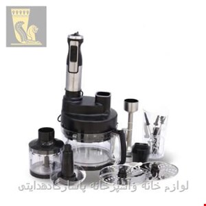 غذا ساز و گوشت کوب برقی 20 کاره دلمونتی